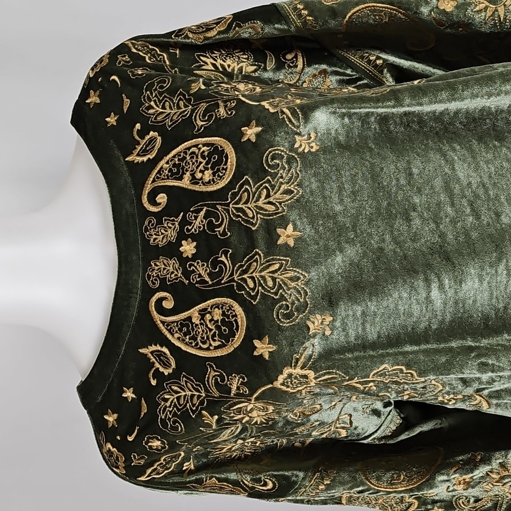 Soft Surroundings Olive Green Velvet Embroidered Tunic - Picture 3 of 16